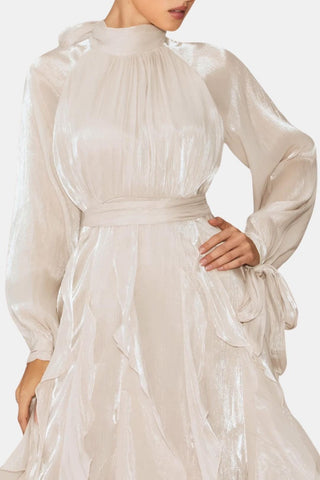 Women's Long Sleeve Ruffle Evening Maxi Dress